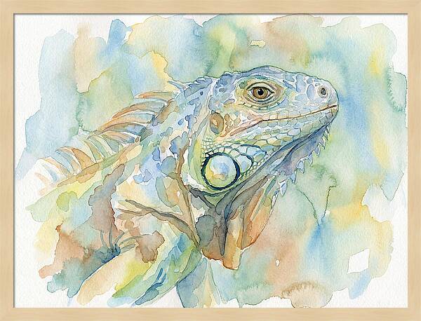Iguana In Watercolor Hues