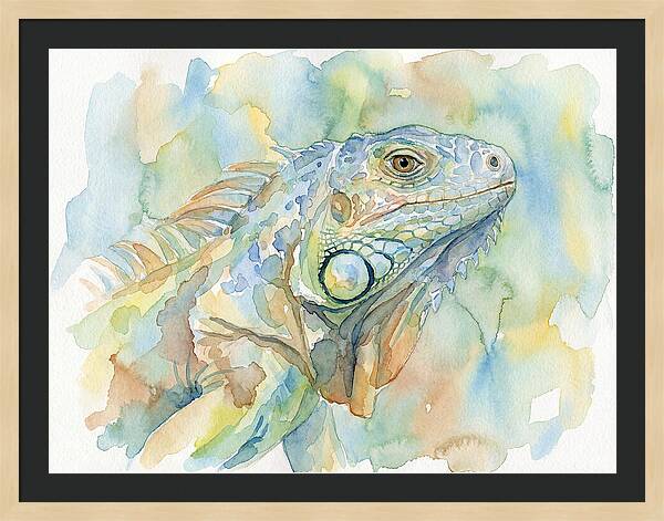 Iguana In Watercolor Hues