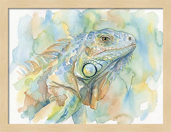 Iguana In Watercolor Hues