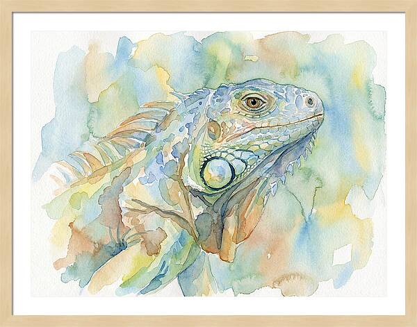 Iguana In Watercolor Hues