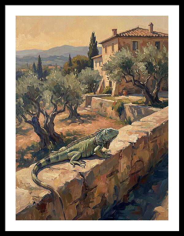 Iguana On A Mediterranean Wall