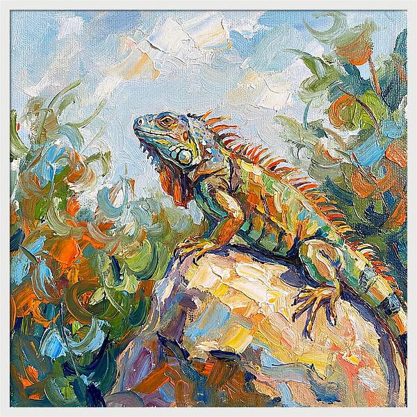 Iguana On A Rock
