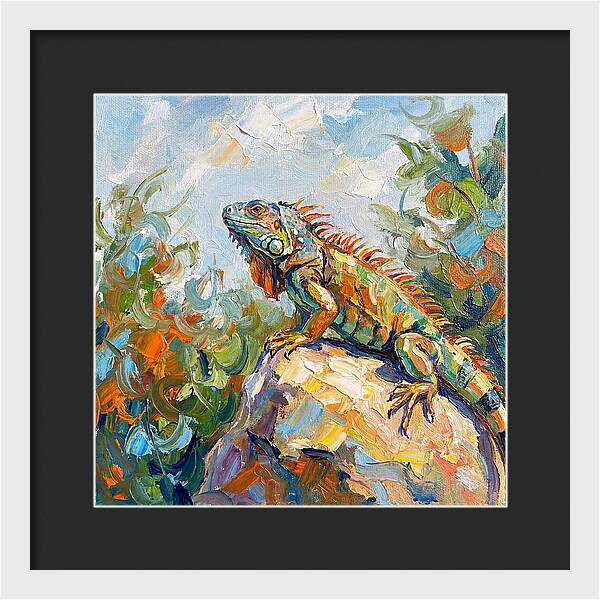 Iguana On A Rock