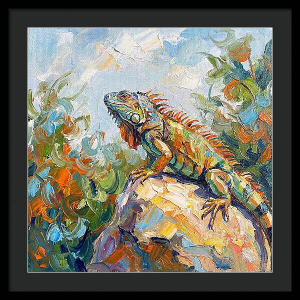 Iguana On A Rock