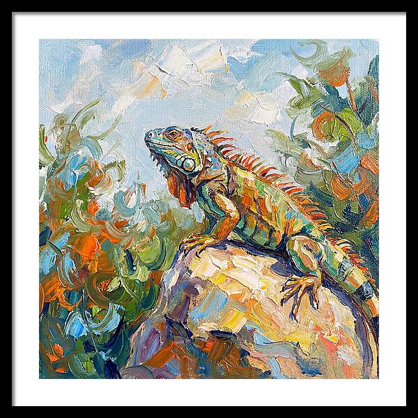 Iguana On A Rock