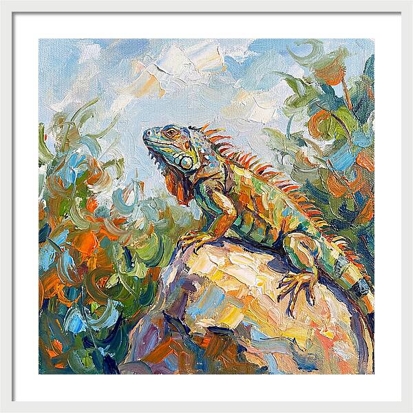 Iguana On A Rock