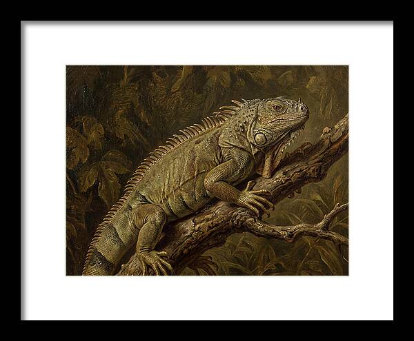 Iguana Perched On Branch
