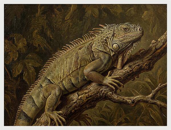 Iguana Perched On Branch