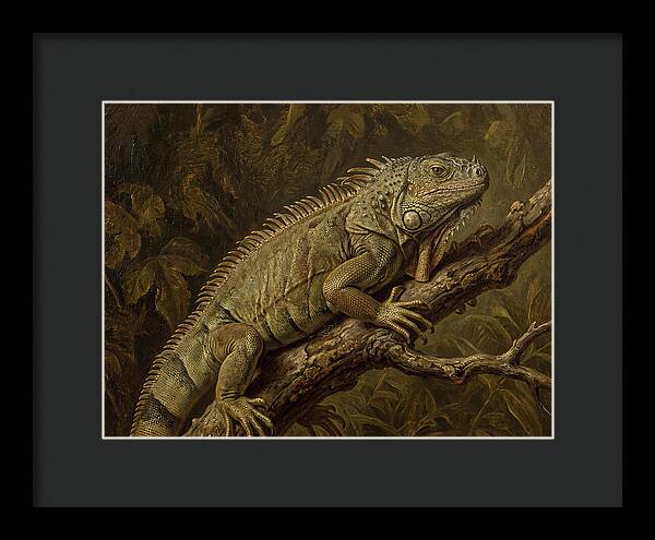 Iguana Perched On Branch