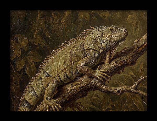 Iguana Perched On Branch
