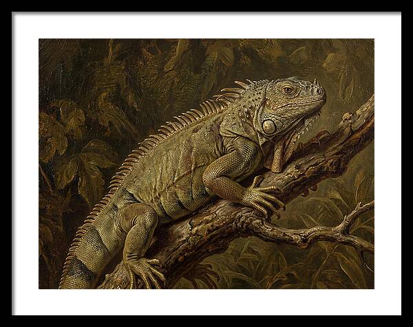 Iguana Perched On Branch