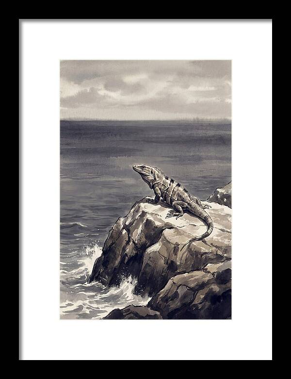 Iguana Sunning On Tropical Rock