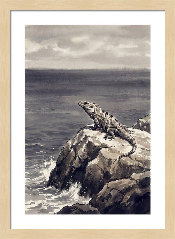 Iguana Sunning On Tropical Rock