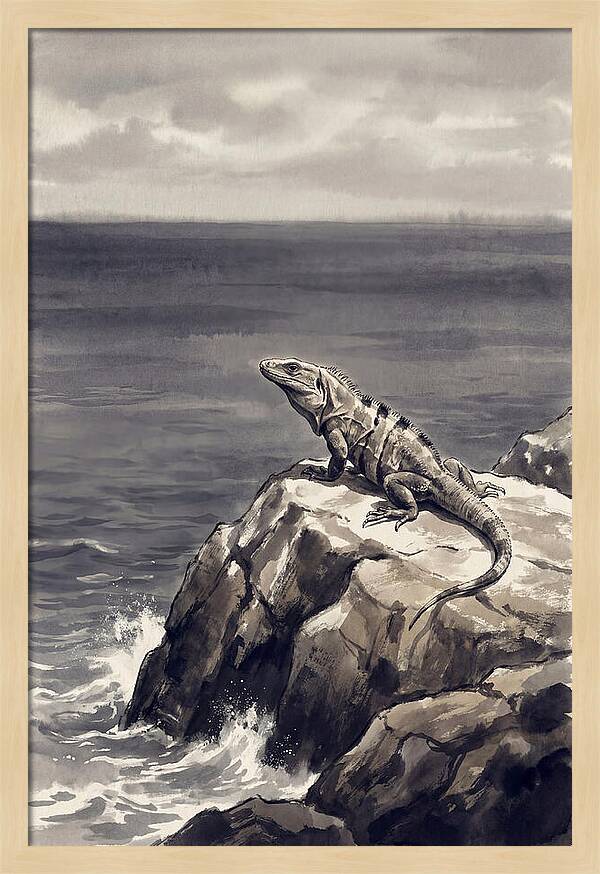 Iguana Sunning On Tropical Rock