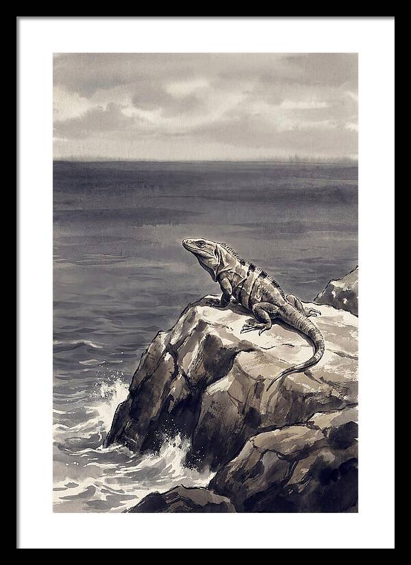 Iguana Sunning On Tropical Rock