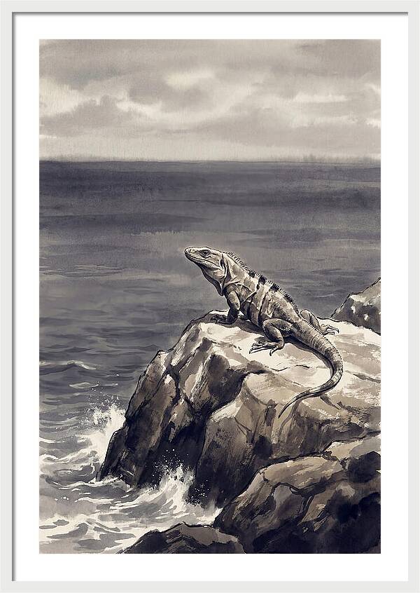 Iguana Sunning On Tropical Rock