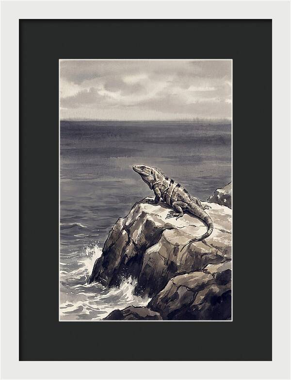Iguana Sunning On Tropical Rock