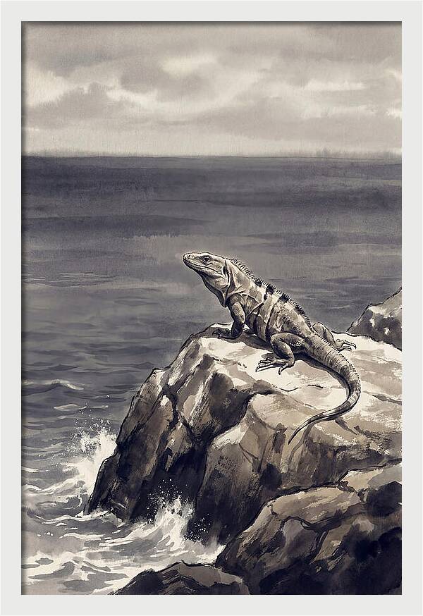 Iguana Sunning On Tropical Rock
