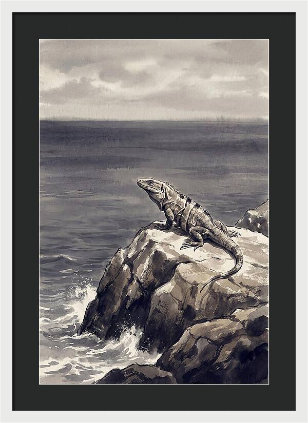 Iguana Sunning On Tropical Rock