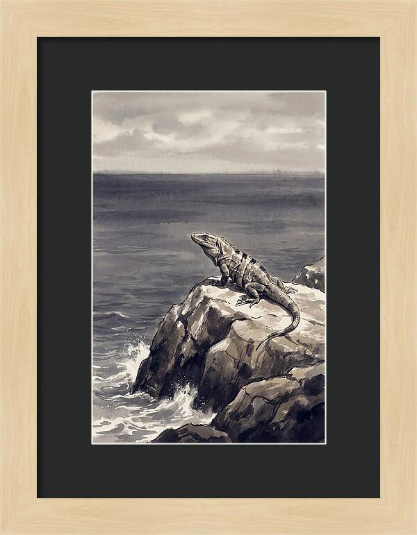 Iguana Sunning On Tropical Rock