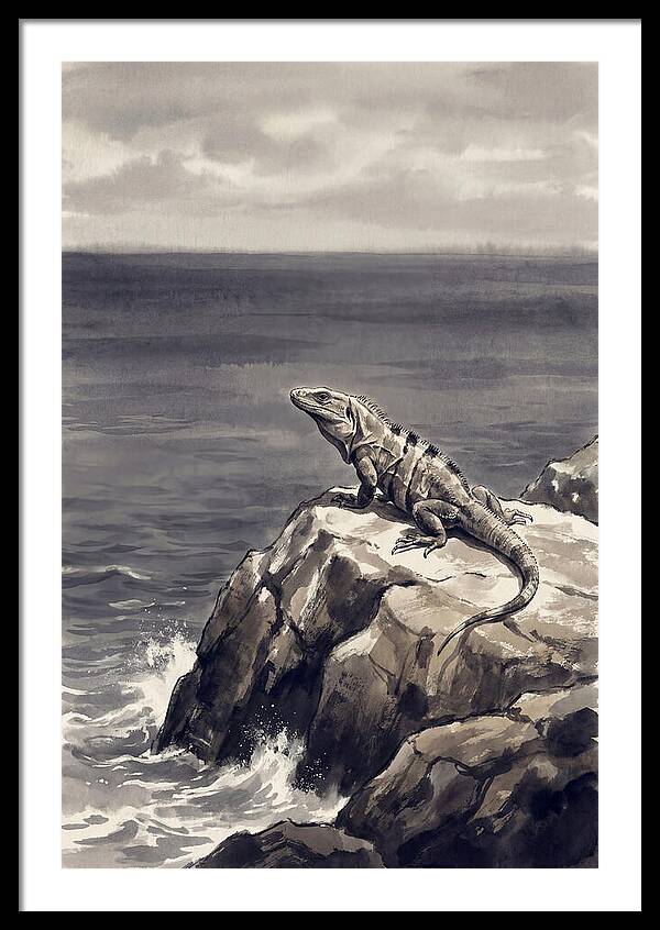 Iguana Sunning On Tropical Rock