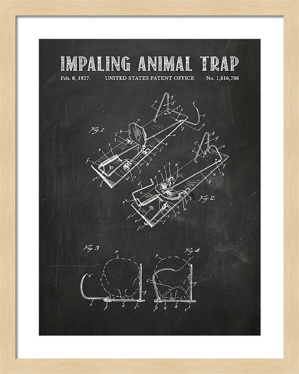 Impaling Animal Trap Chalkboard Patent Us1616786a