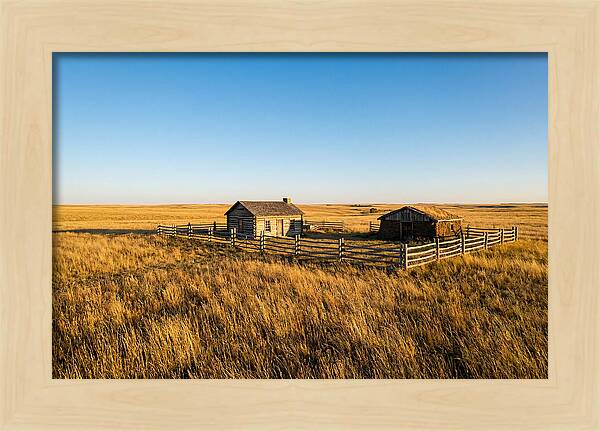 Ingalls Homestead Serenity