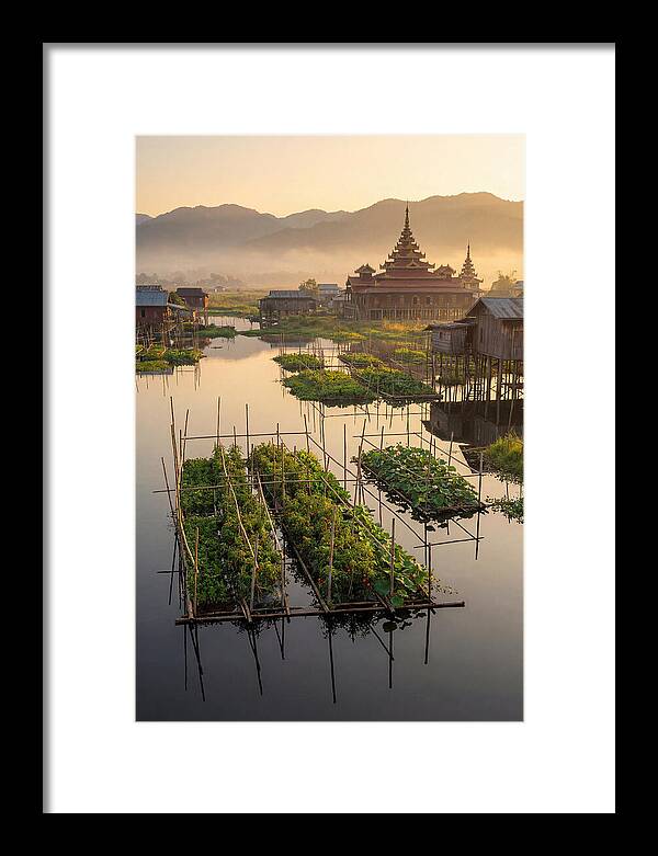 Inle Lake Floating Gardens At Dawn