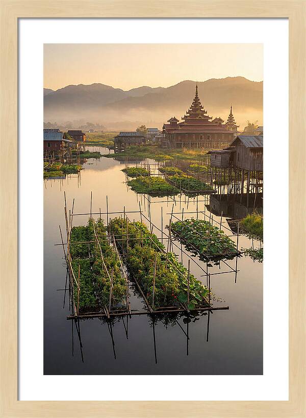 Inle Lake Floating Gardens At Dawn