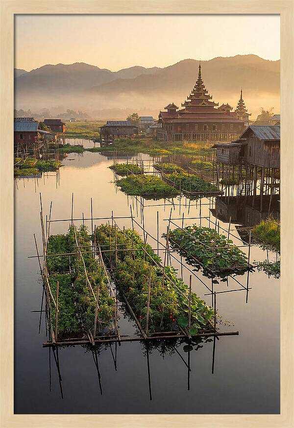 Inle Lake Floating Gardens At Dawn
