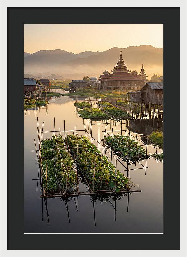 Inle Lake Floating Gardens At Dawn