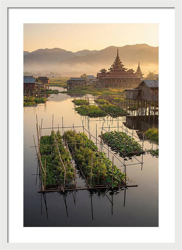 Inle Lake Floating Gardens At Dawn