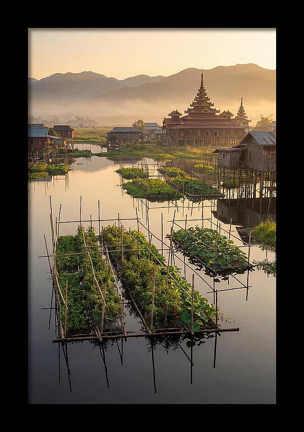 Inle Lake Floating Gardens At Dawn