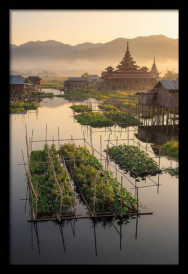 Inle Lake Floating Gardens At Dawn