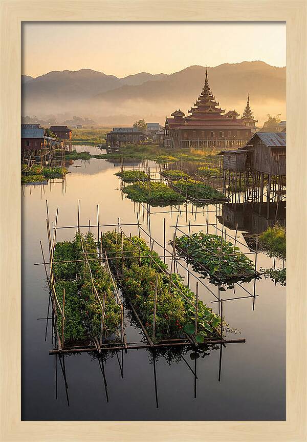 Inle Lake Floating Gardens At Dawn