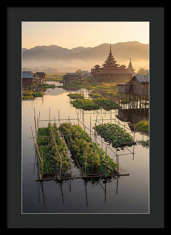 Inle Lake Floating Gardens At Dawn