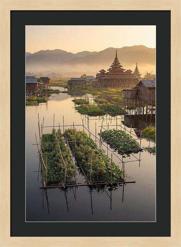 Inle Lake Floating Gardens At Dawn