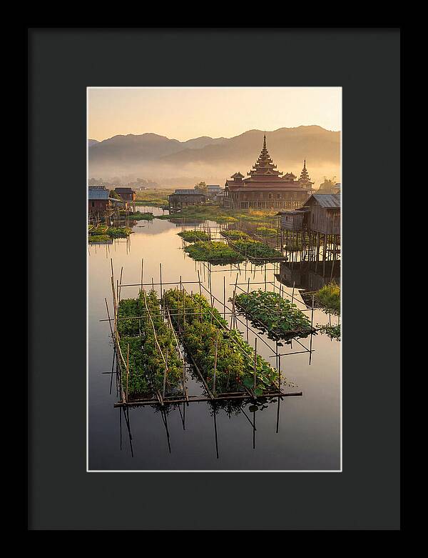 Inle Lake Floating Gardens At Dawn