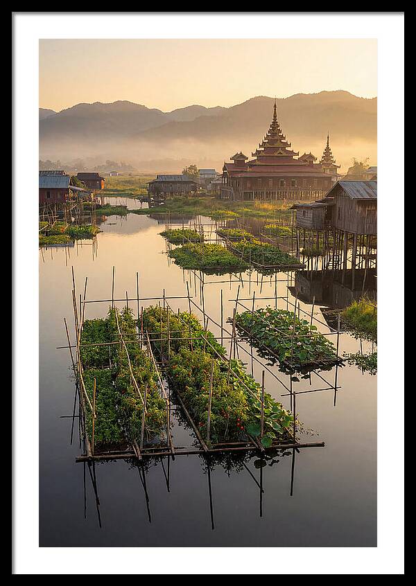 Inle Lake Floating Gardens At Dawn