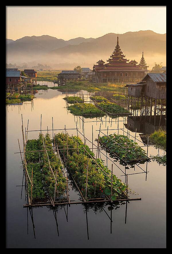 Inle Lake Floating Gardens At Dawn