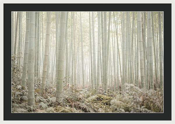 Inside Arashiyama Bamboo Grove