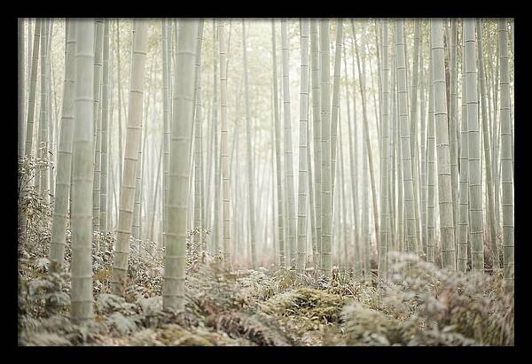 Inside Arashiyama Bamboo Grove