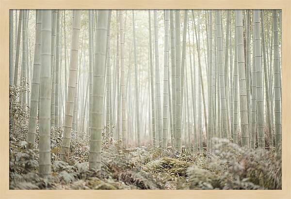 Inside Arashiyama Bamboo Grove