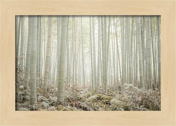 Inside Arashiyama Bamboo Grove