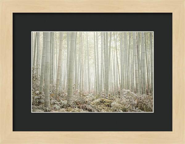 Inside Arashiyama Bamboo Grove