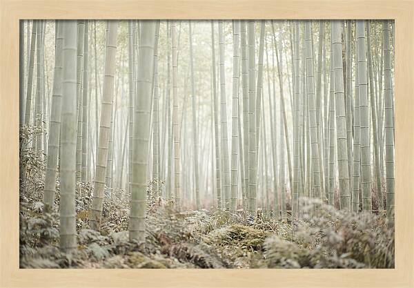Inside Arashiyama Bamboo Grove