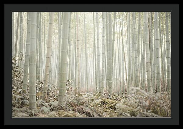 Inside Arashiyama Bamboo Grove