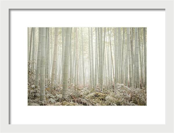 Inside Arashiyama Bamboo Grove
