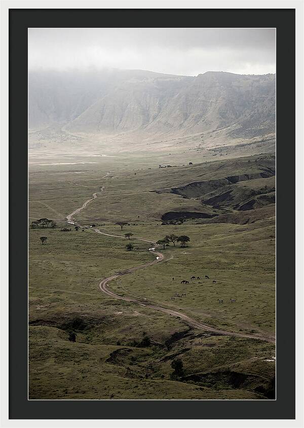 Inside Ngorongoro Crater