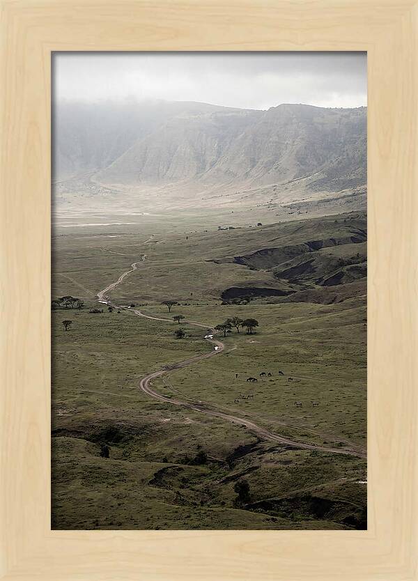 Inside Ngorongoro Crater